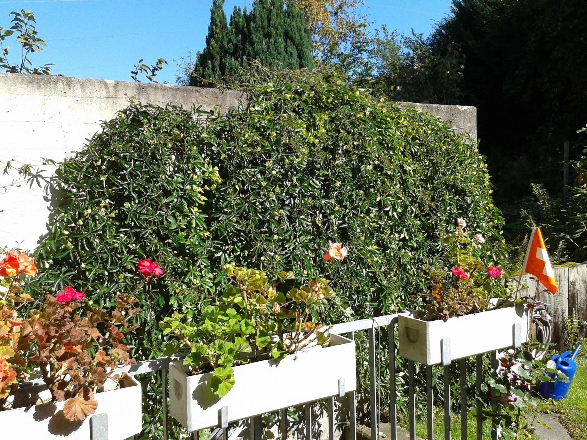 Mybednbreakfast In Bottmingen Bed & Breakfast エクステリア 写真