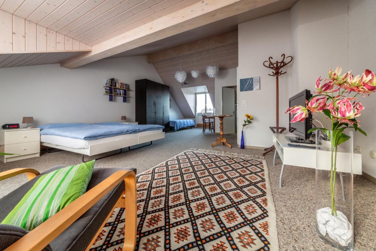 Mybednbreakfast In Bottmingen Bed & Breakfast エクステリア 写真