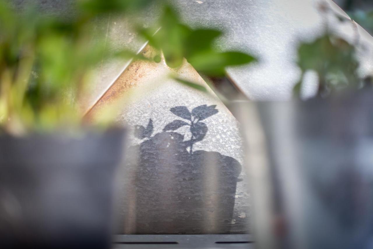Mybednbreakfast In Bottmingen Bed & Breakfast エクステリア 写真